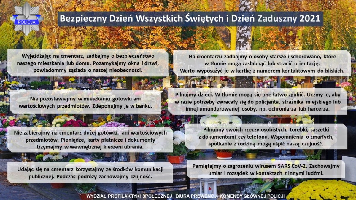 Infografika. Opis dostępny cyfrowo znajduje się pod komunikatem