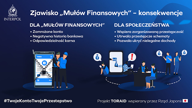 infografika z napisami dotycząca zjawiska Mułów Finansowych i związanych z tym konsekwencji